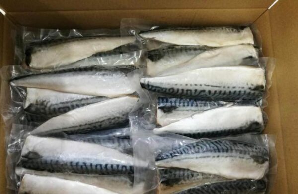 Atlantic Mackerel